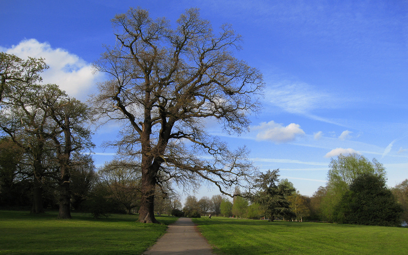 Grovelands Park, London