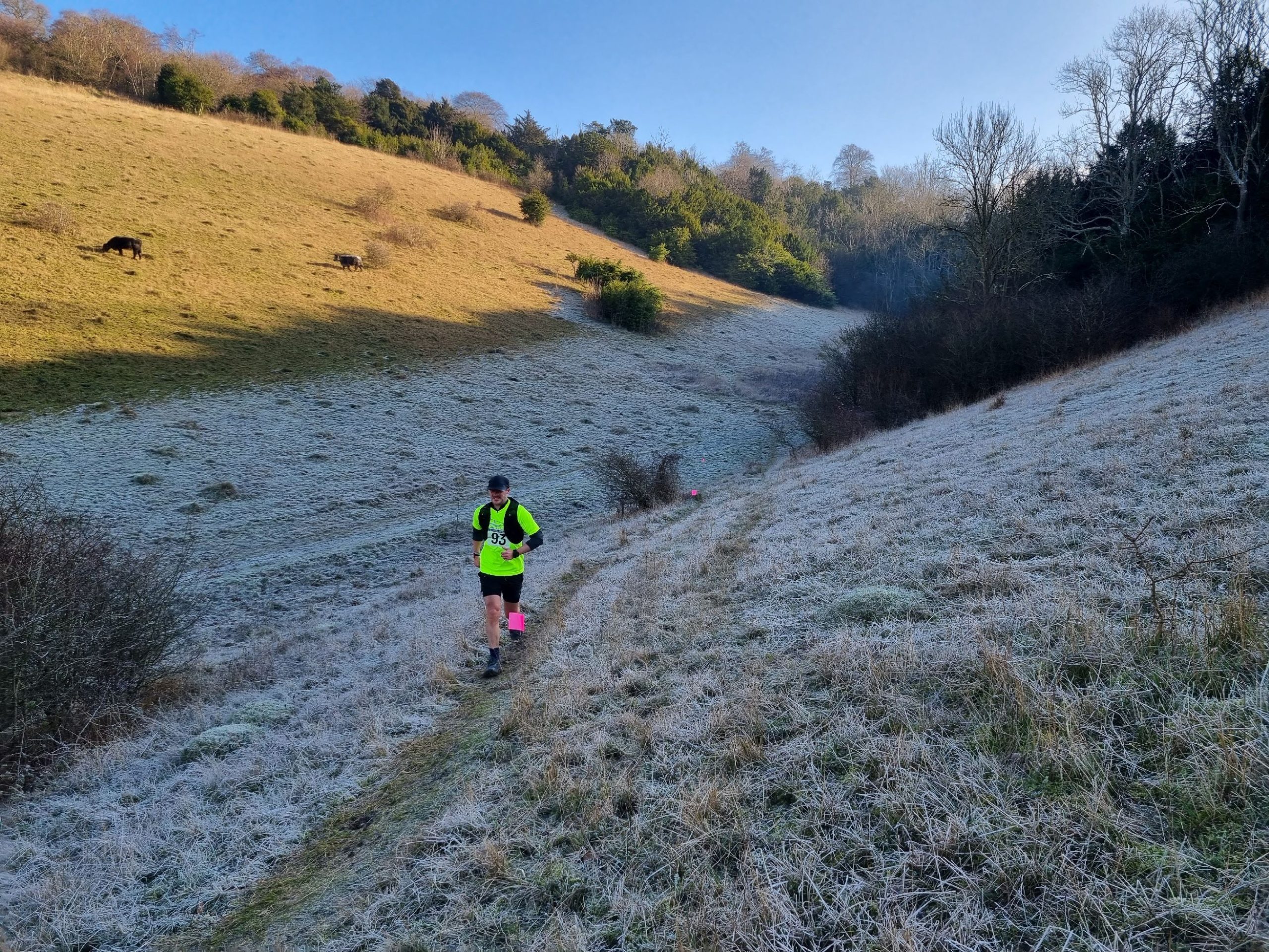 Box Hill Results 2023 South London Orienteers