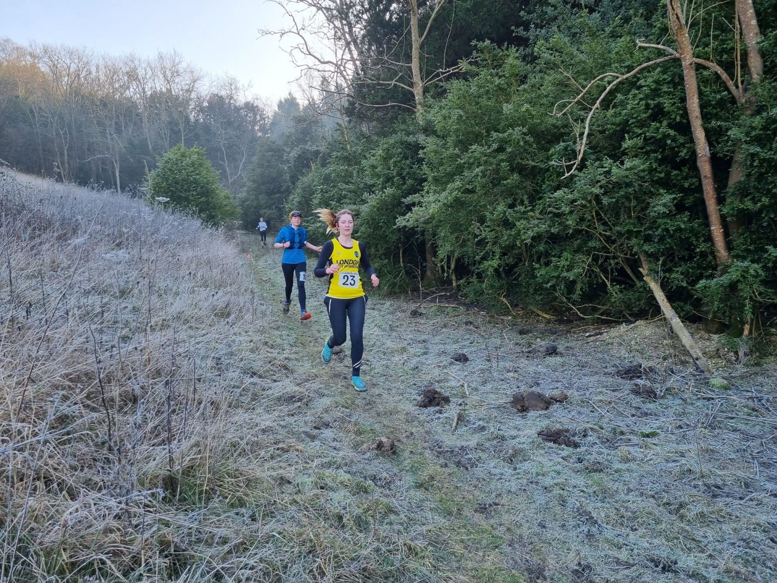 Box Hill Results 2023 South London Orienteers