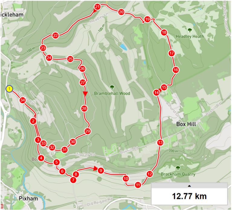 Box Hill Fell Race 2024 South London Orienteers   Box Hill 2024 Route 768x695 